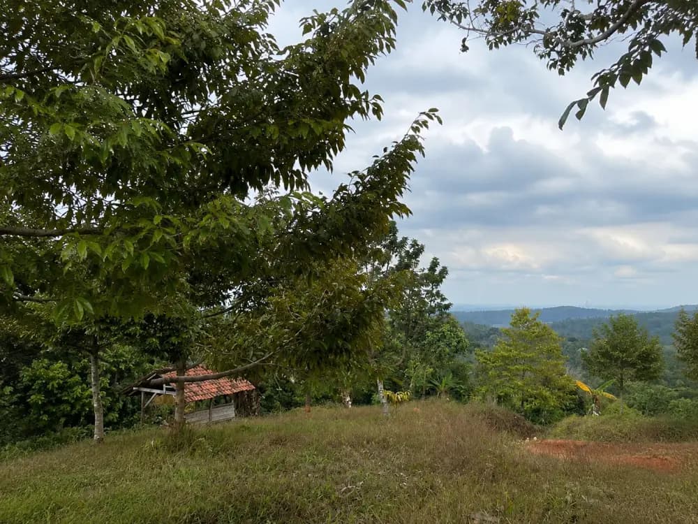 AGROFORESTIK