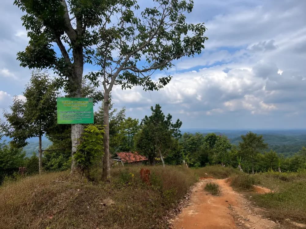 AGROFORESTIK